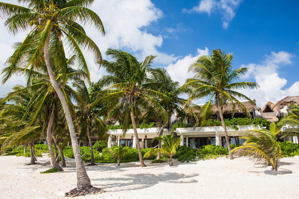 The Beach Tulum Hotel 외부 사진