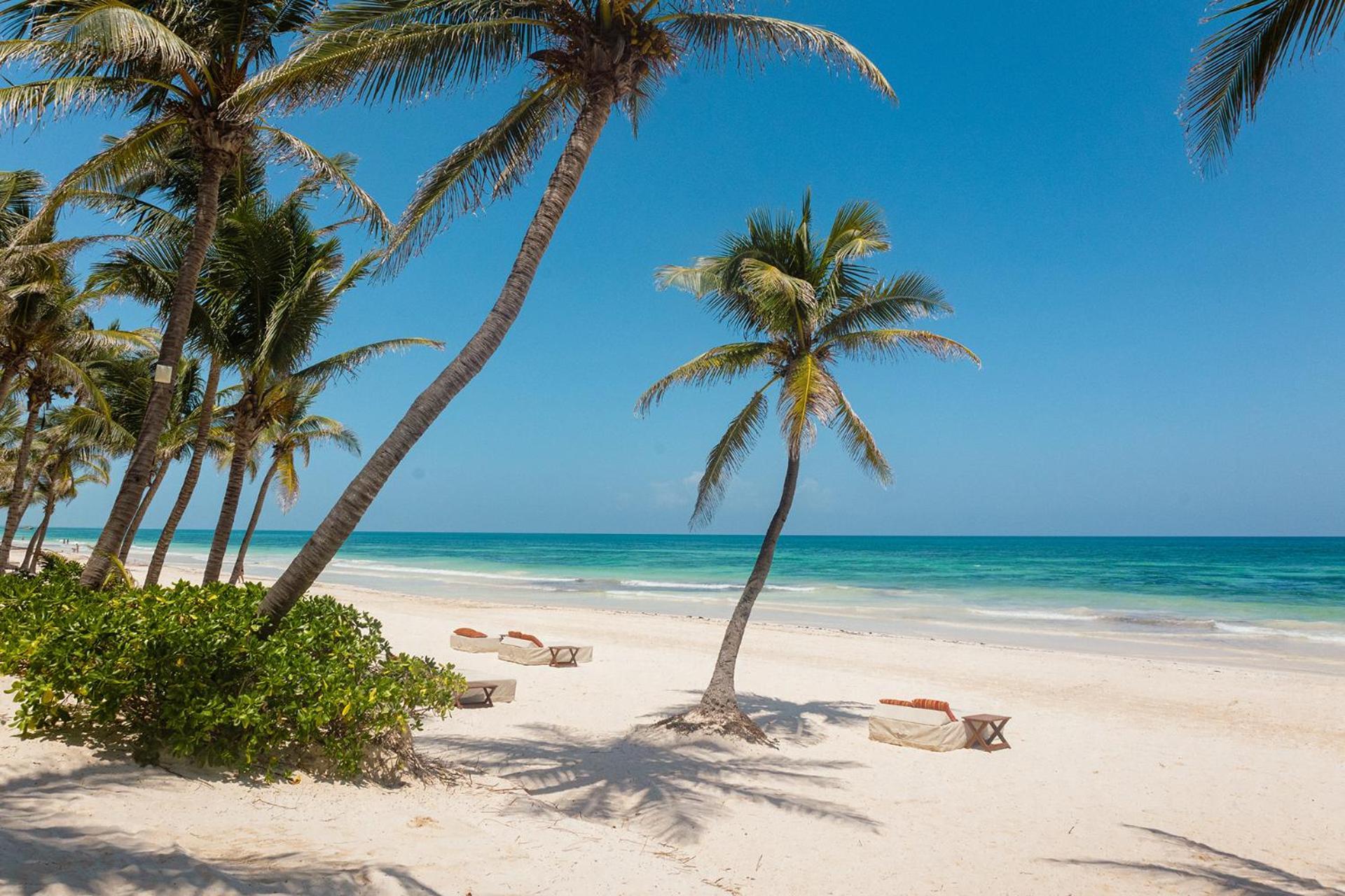 The Beach Tulum Hotel 외부 사진